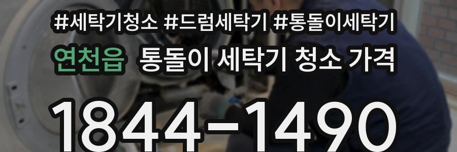 연천읍 통돌이 세탁기 청소 가격