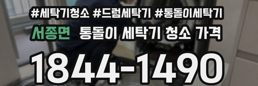 서종면 통돌이 세탁기 청소 가격
