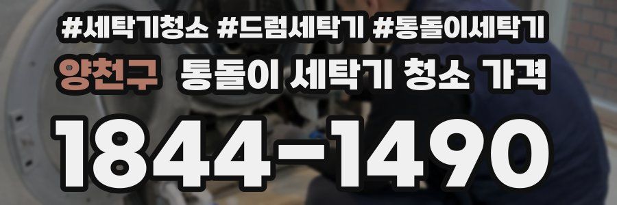 양천구 통돌이 세탁기 청소 가격