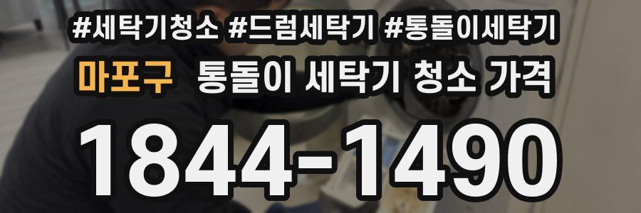 마포구 통돌이 세탁기 청소 가격