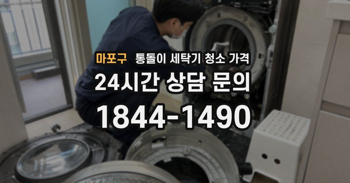 마포구 통돌이 세탁기 청소 가격