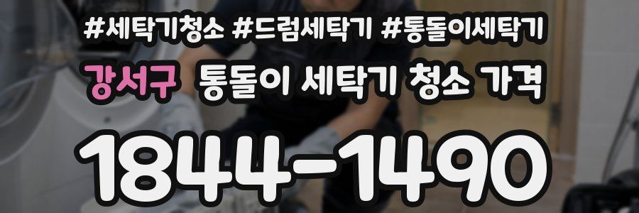 강서구 통돌이 세탁기 청소 가격