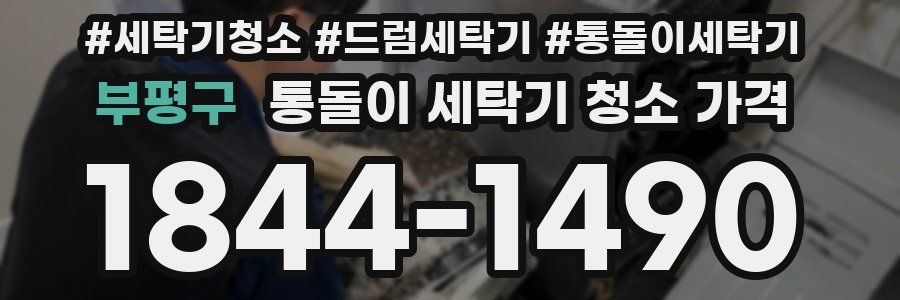 부평구 통돌이 세탁기 청소 가격
