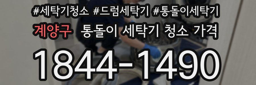 계양구 통돌이 세탁기 청소 가격