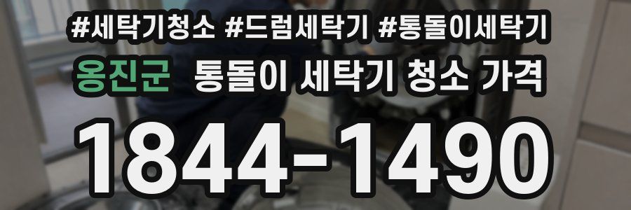 옹진군 통돌이 세탁기 청소 가격