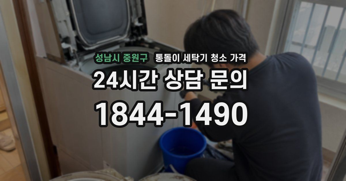 성남시 중원구 통돌이 세탁기 청소 가격
