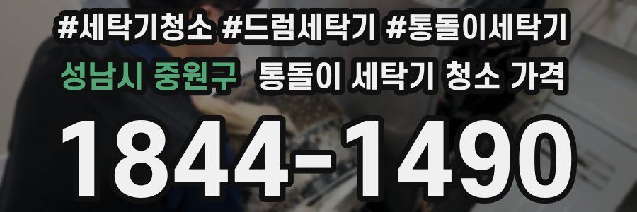 성남시 중원구 통돌이 세탁기 청소 가격