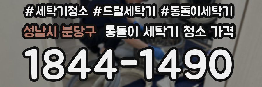 성남시 분당구 통돌이 세탁기 청소 가격
