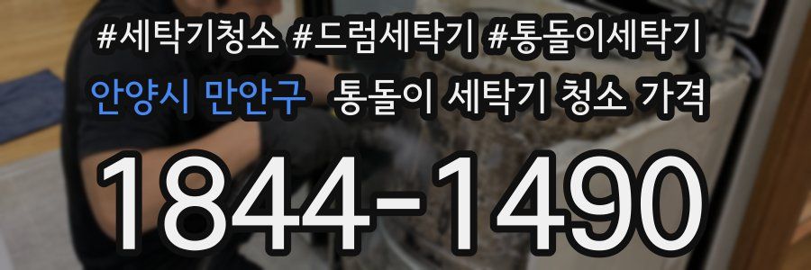 안양시 만안구 통돌이 세탁기 청소 가격