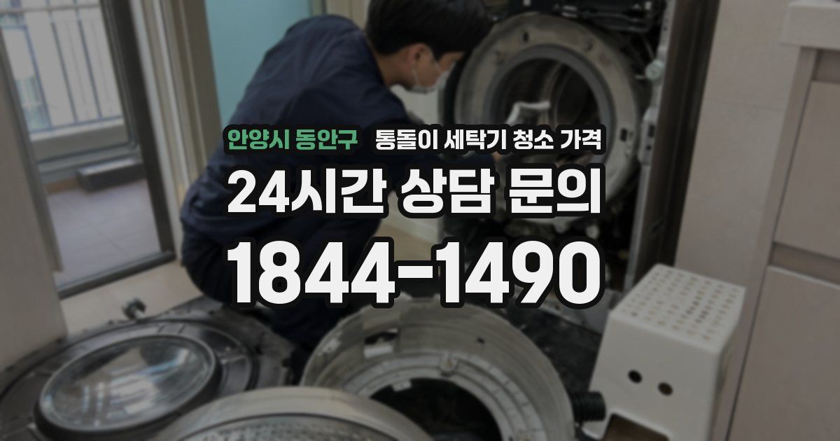 안양시 동안구 통돌이 세탁기 청소 가격