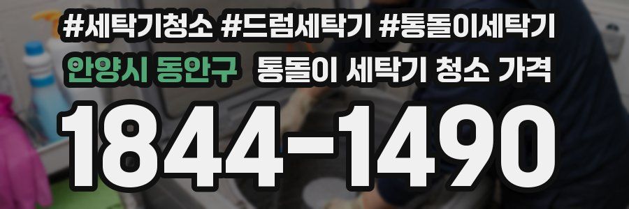 안양시 동안구 통돌이 세탁기 청소 가격