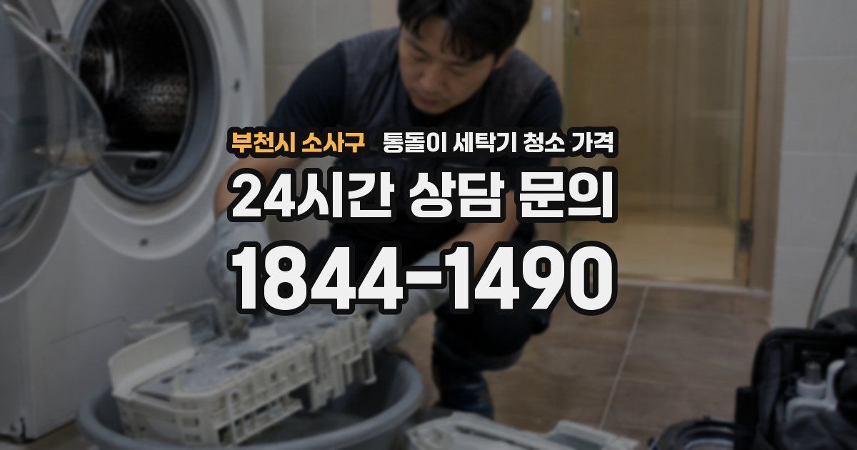부천시 소사구 통돌이 세탁기 청소 가격