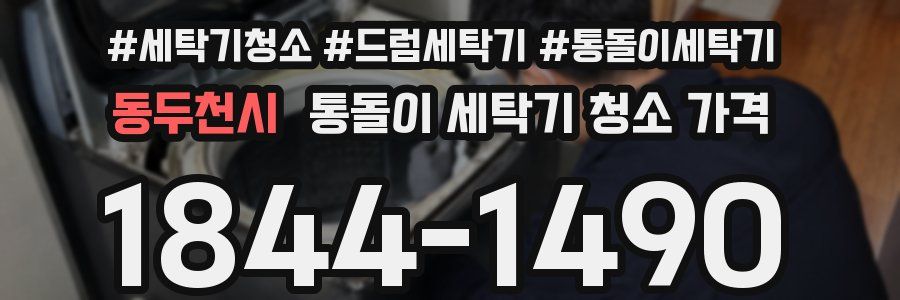 동두천시 통돌이 세탁기 청소 가격