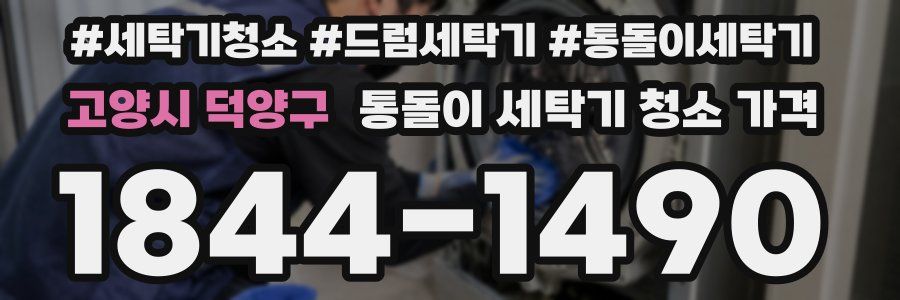 고양시 덕양구 통돌이 세탁기 청소 가격