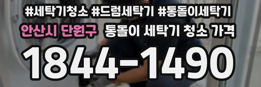 안산시 단원구 통돌이 세탁기 청소 가격