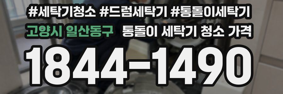 고양시 일산동구 통돌이 세탁기 청소 가격