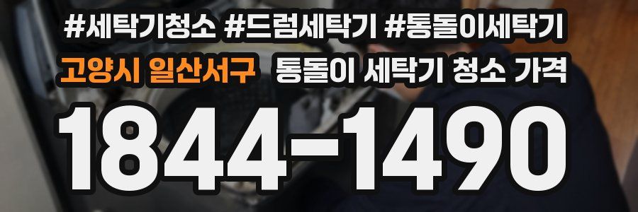 고양시 일산서구 통돌이 세탁기 청소 가격