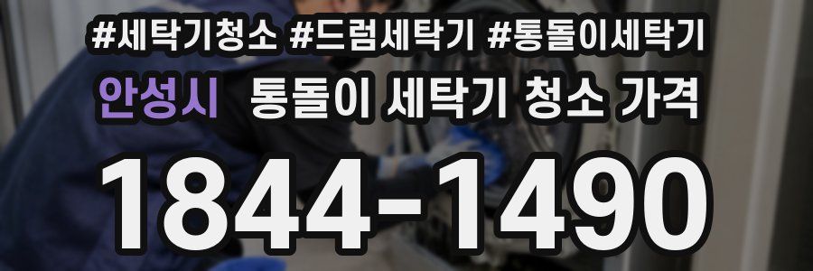 안성시 통돌이 세탁기 청소 가격