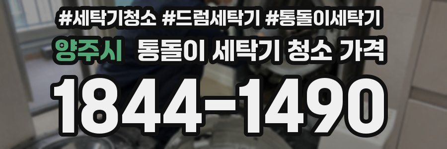 양주시 통돌이 세탁기 청소 가격