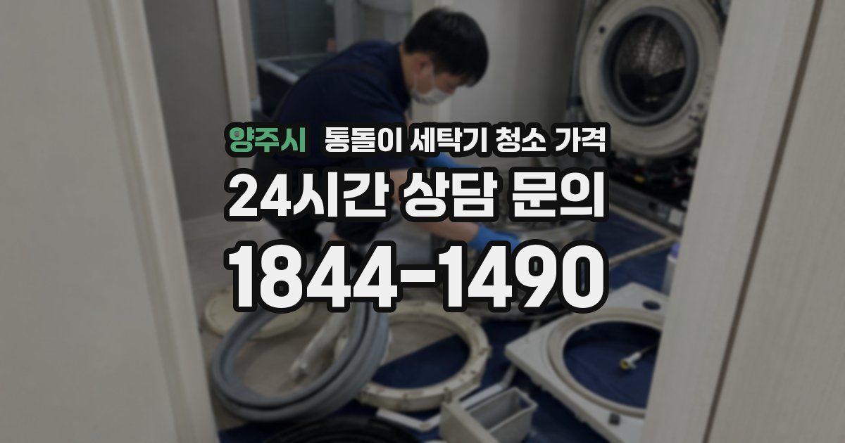 양주시 통돌이 세탁기 청소 가격