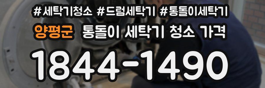 양평군 통돌이 세탁기 청소 가격