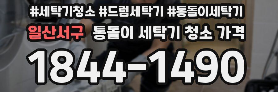 일산서구 통돌이 세탁기 청소 가격