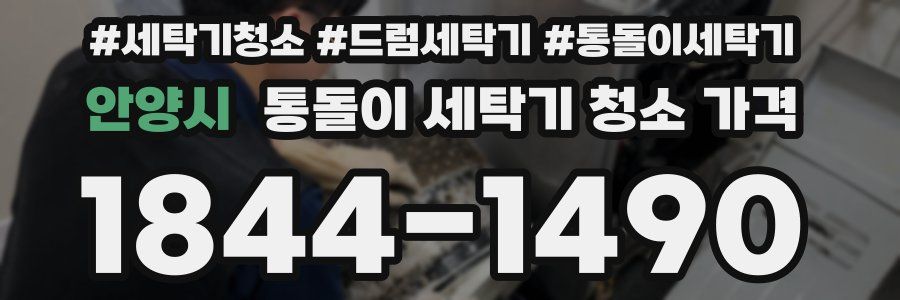 안양시 통돌이 세탁기 청소 가격
