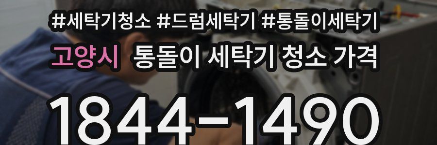 고양시 통돌이 세탁기 청소 가격