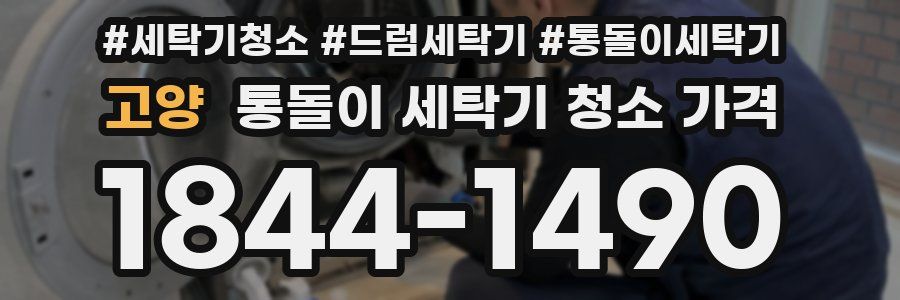 고양 통돌이 세탁기 청소 가격