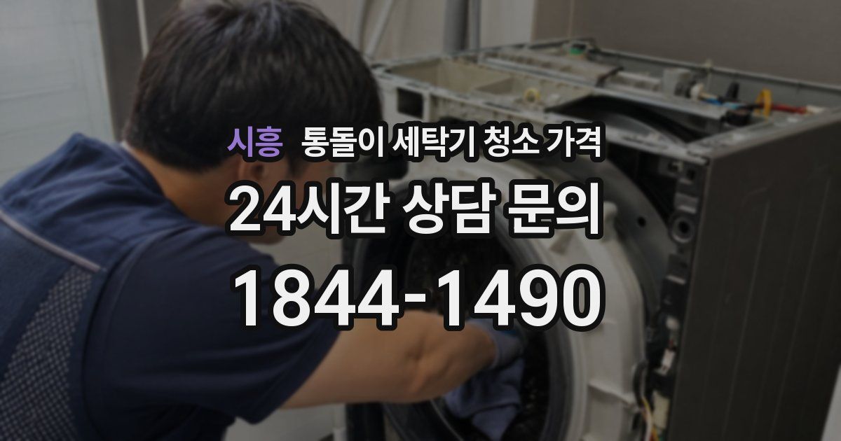 시흥 통돌이 세탁기 청소 가격