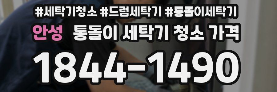 안성 통돌이 세탁기 청소 가격