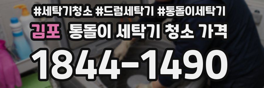 김포 통돌이 세탁기 청소 가격