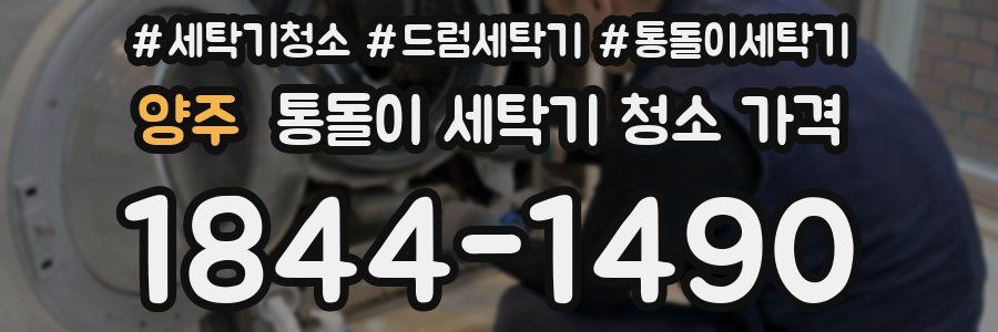 양주 통돌이 세탁기 청소 가격