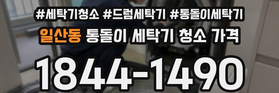 일산동 통돌이 세탁기 청소 가격