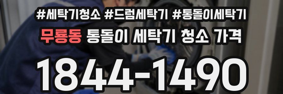 무룡동 통돌이 세탁기 청소 가격