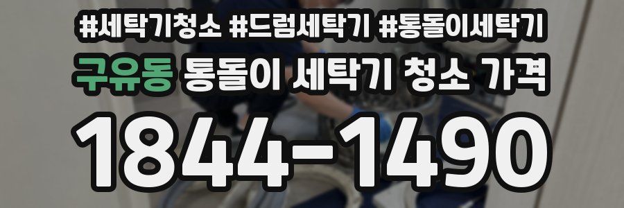 구유동 통돌이 세탁기 청소 가격