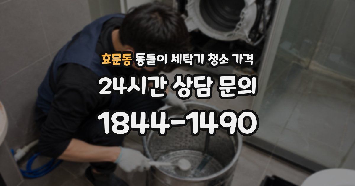 효문동 통돌이 세탁기 청소 가격
