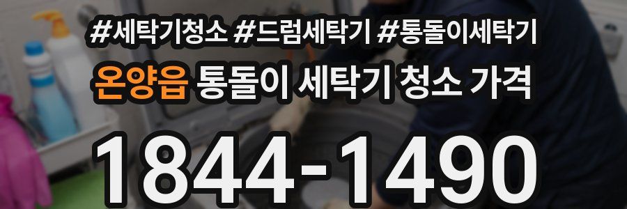온양읍 통돌이 세탁기 청소 가격