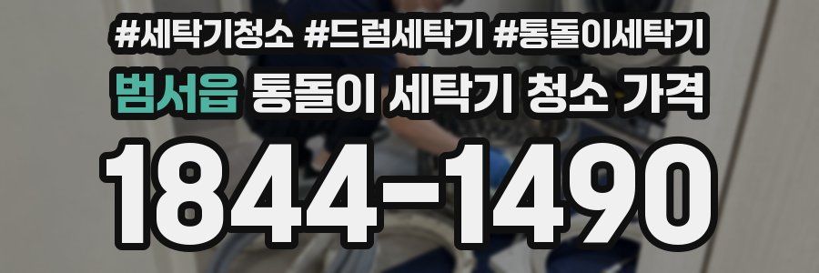 범서읍 통돌이 세탁기 청소 가격