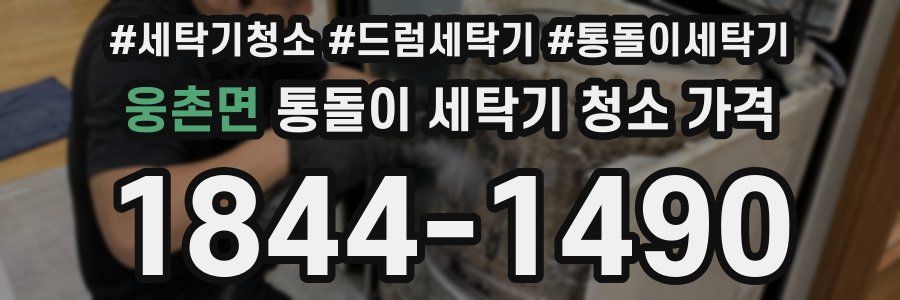 웅촌면 통돌이 세탁기 청소 가격