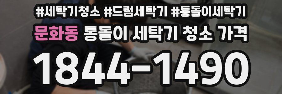 문화동 통돌이 세탁기 청소 가격