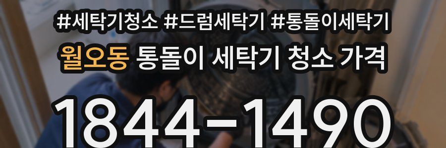 월오동 통돌이 세탁기 청소 가격