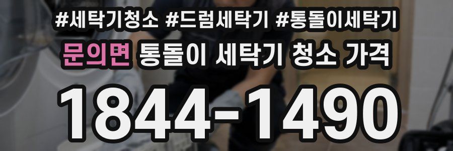 문의면 통돌이 세탁기 청소 가격