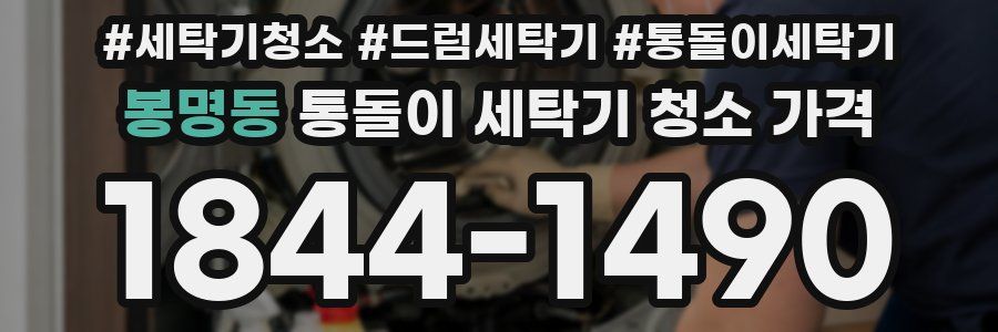 봉명동 통돌이 세탁기 청소 가격