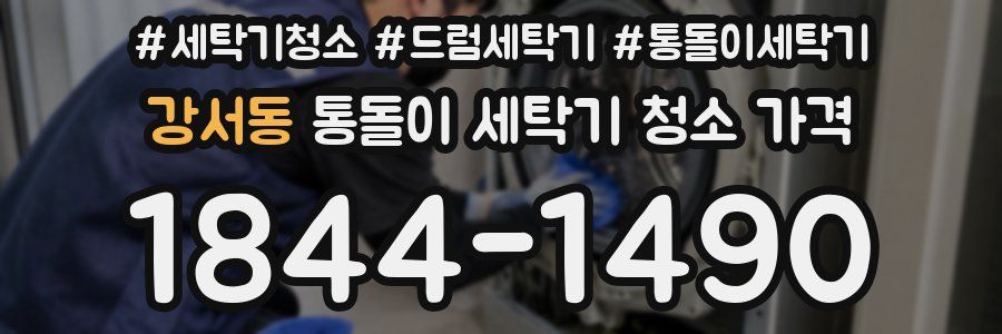 강서동 통돌이 세탁기 청소 가격