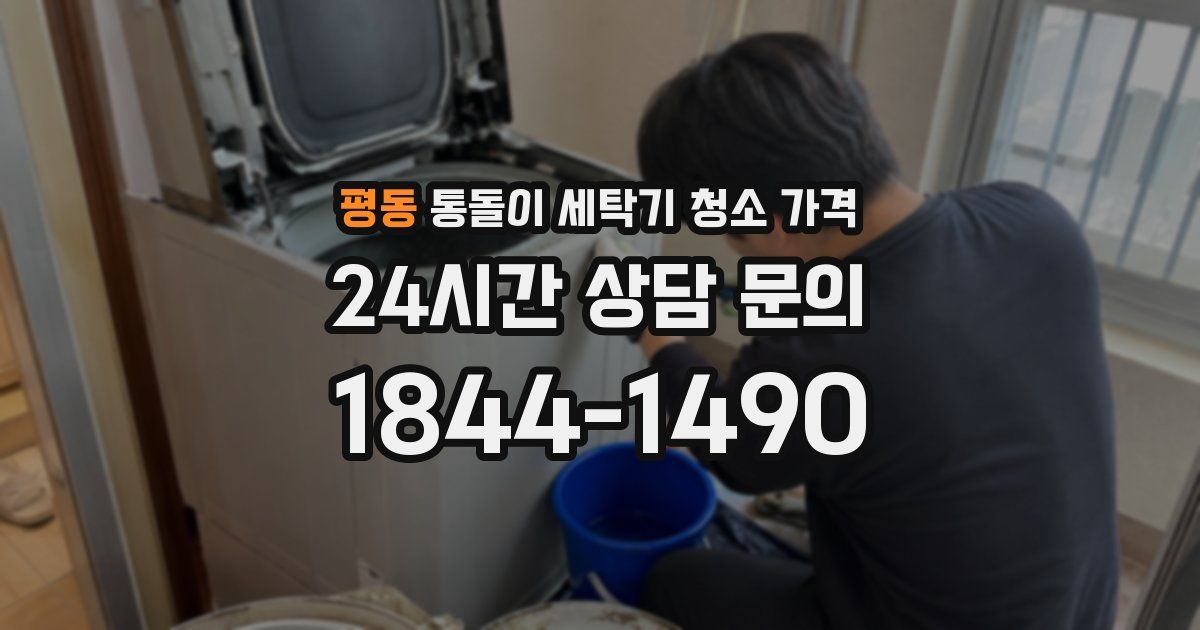 평동 통돌이 세탁기 청소 가격