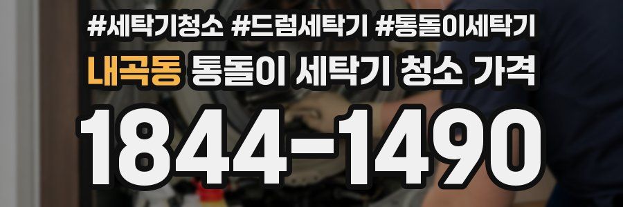 내곡동 통돌이 세탁기 청소 가격