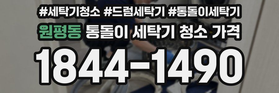 원평동 통돌이 세탁기 청소 가격