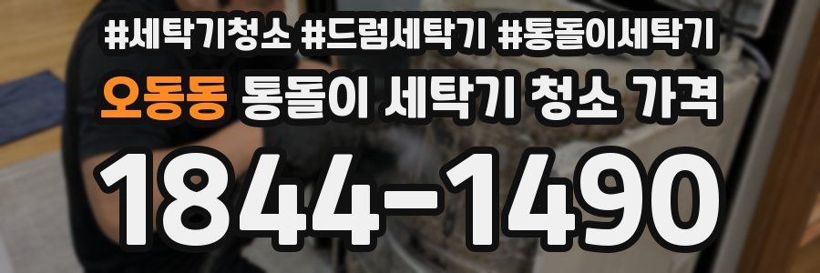 오동동 통돌이 세탁기 청소 가격