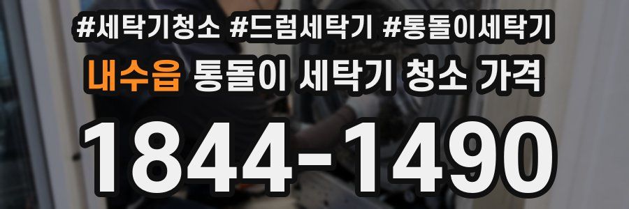 내수읍 통돌이 세탁기 청소 가격